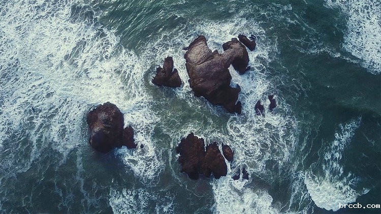 氨氮在线监测仪