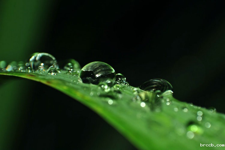 氨氮