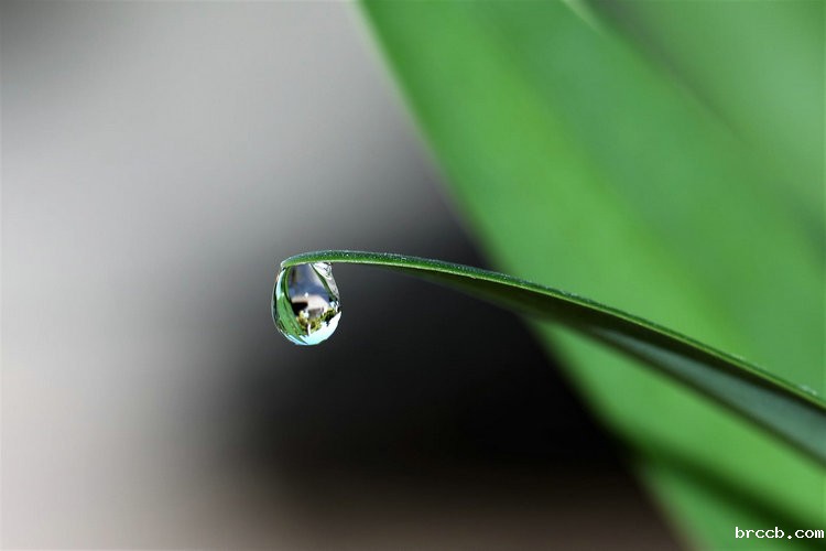 氨氮