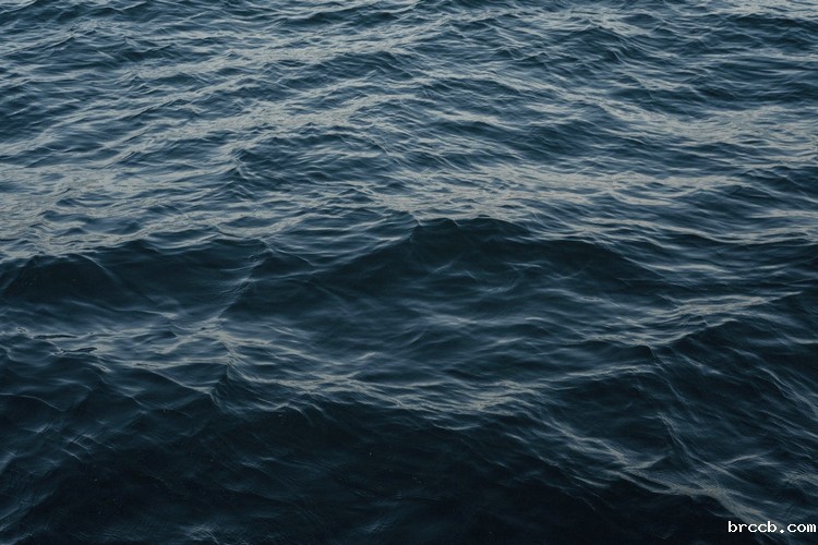 COD检测 (17).jpg