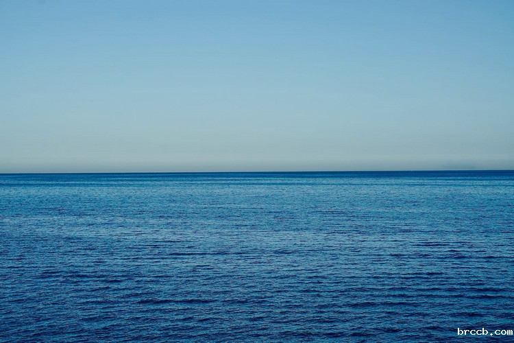 COD检测 (18).jpg