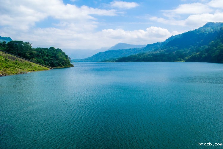 水质氨氮