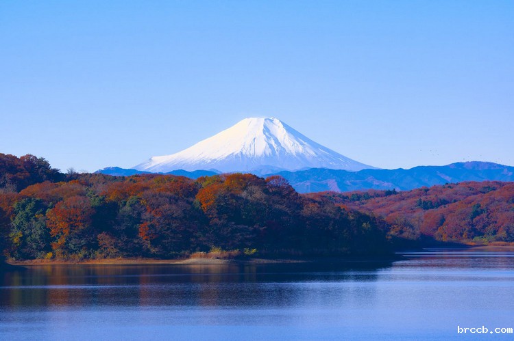 COD检测 (23).jpeg