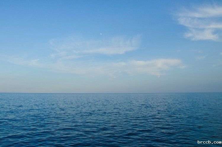 COD检测 (24).jpg