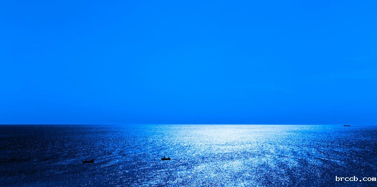 COD检测 (113).jpeg