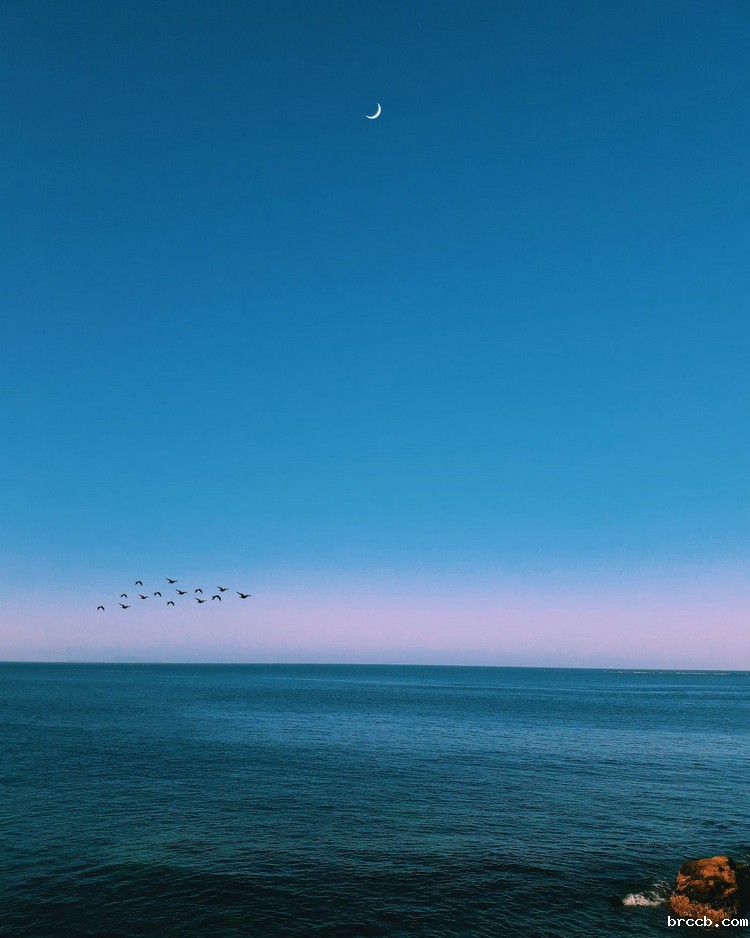 COD氨氮测定仪