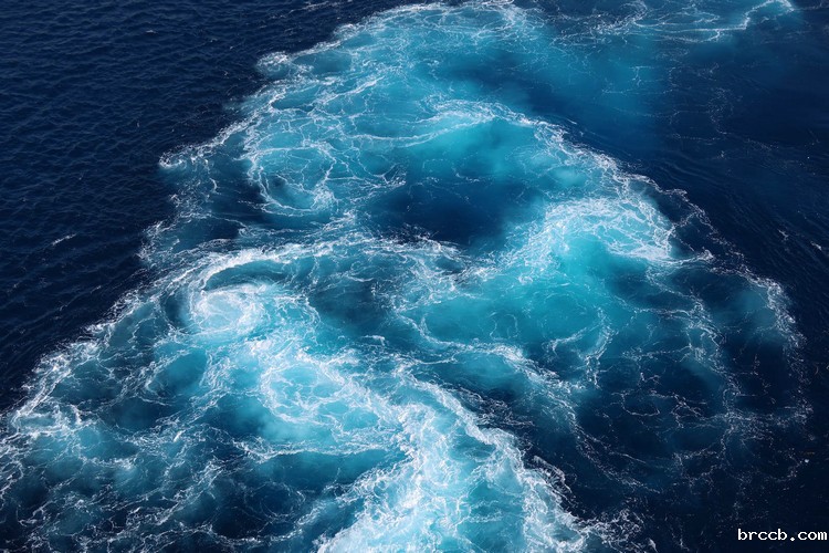 COD水样
