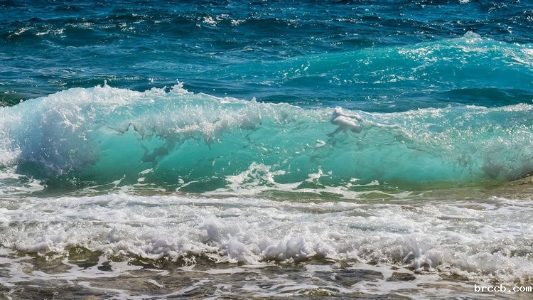 总氮测定仪