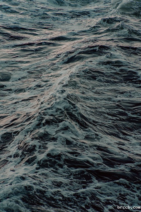 氨氮
