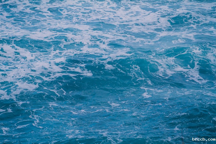 水质检测仪