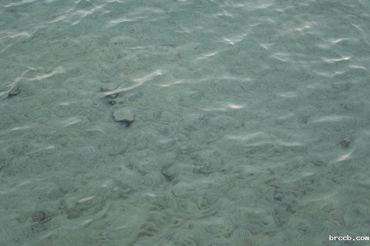 水质检测