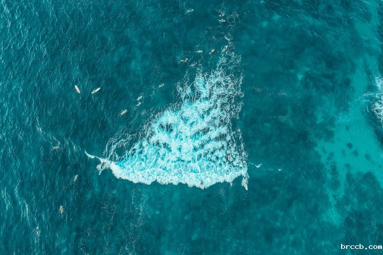 氨