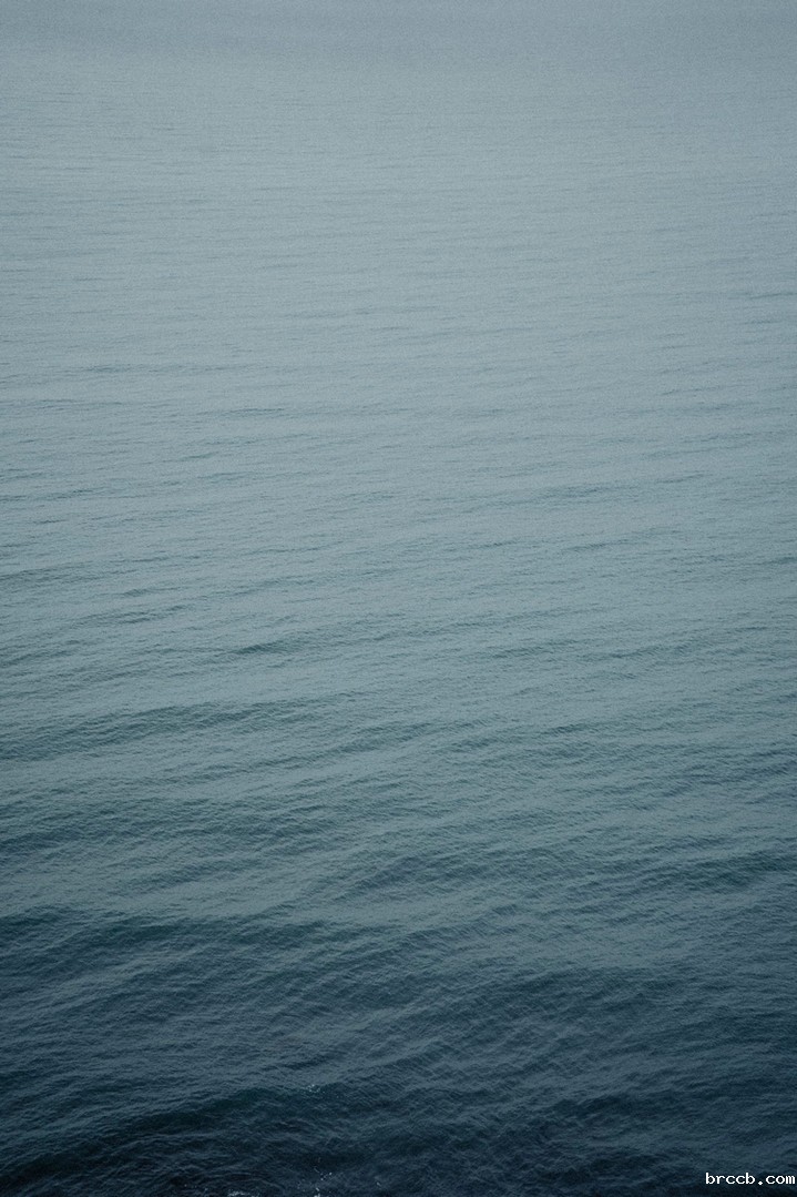 氨氮