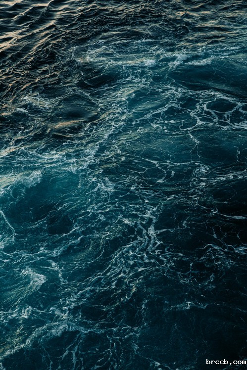 氨氮