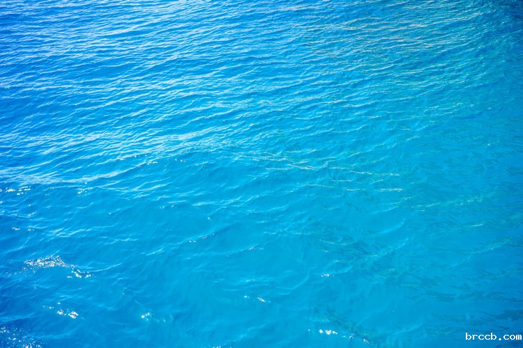 水质检测