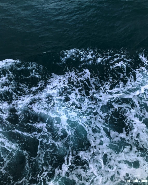 水质测定