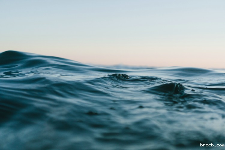 氨氮