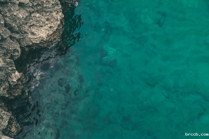 手持式浊度计