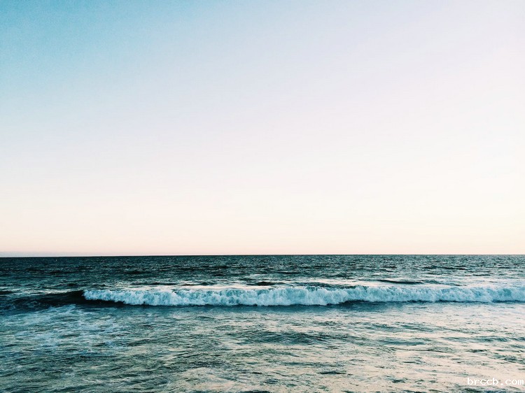 浊度仪