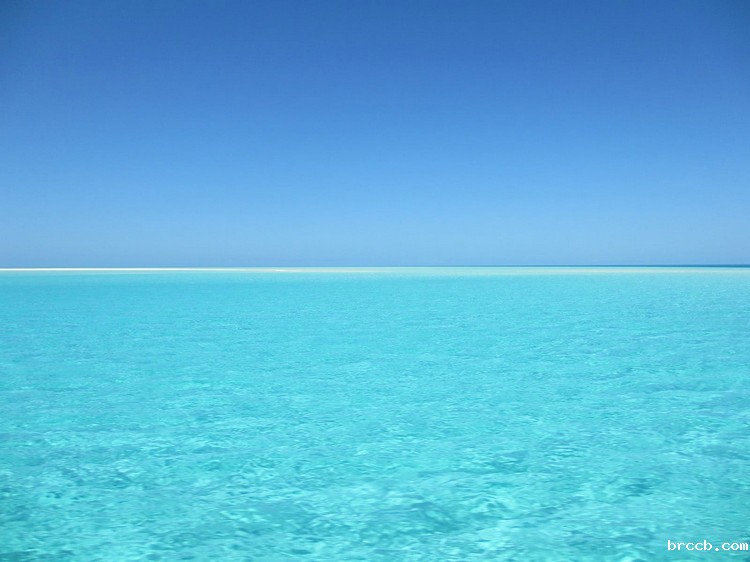 浊度计