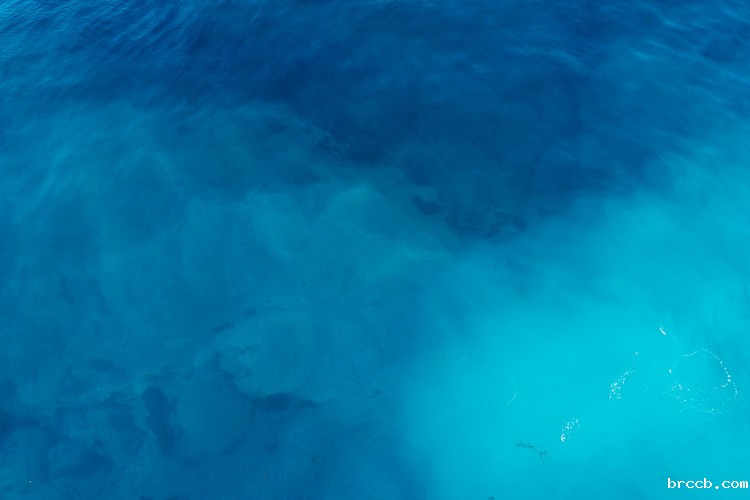 浊度计