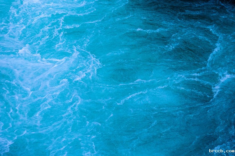 浊度仪