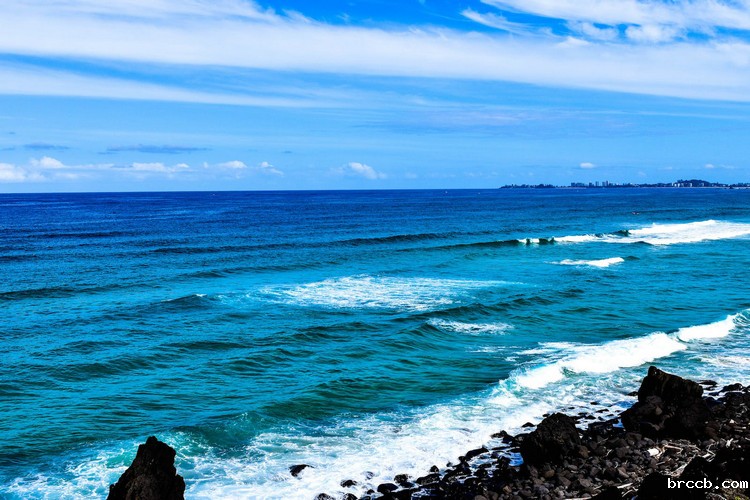 浊度仪