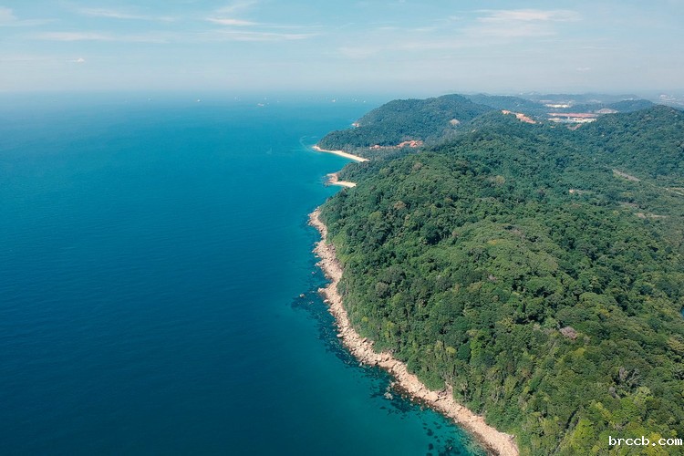 浊度仪