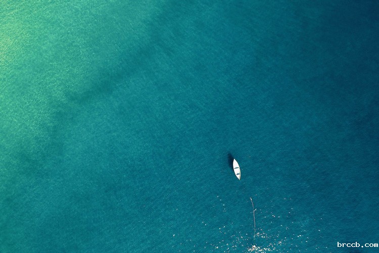 浊度仪