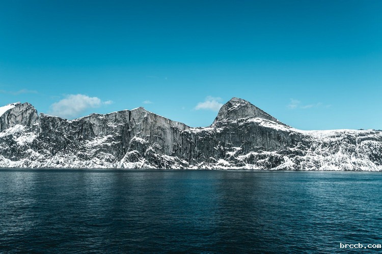浊度在线检测仪