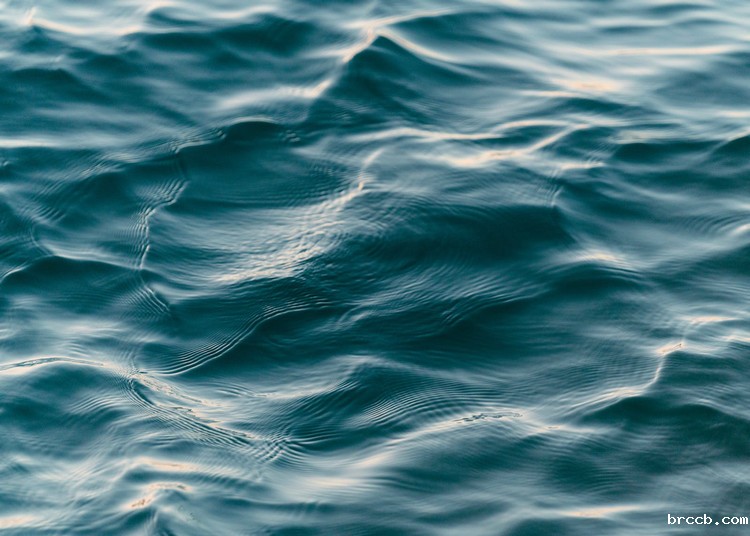 浊度测量
