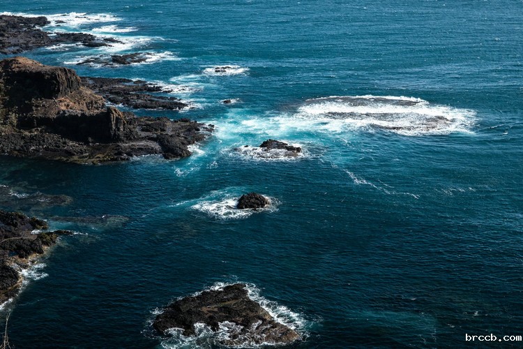 浊度计