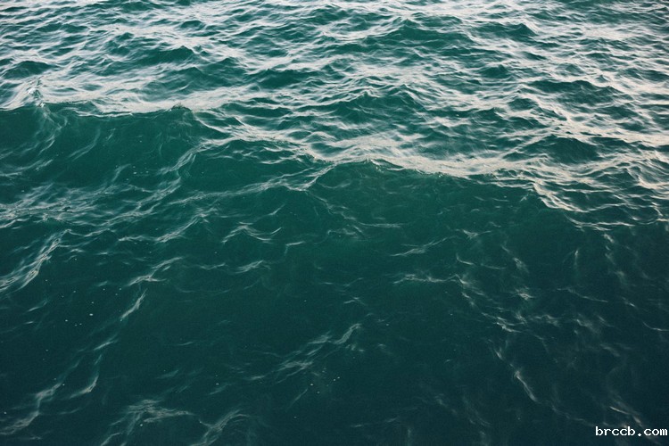 余氯测定仪