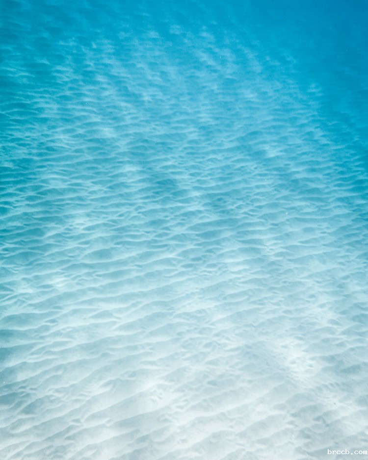 浊度在线检测仪