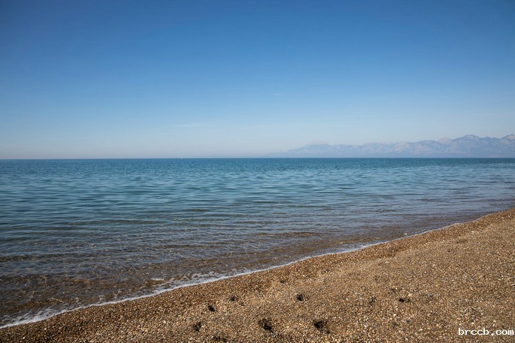 浊度计