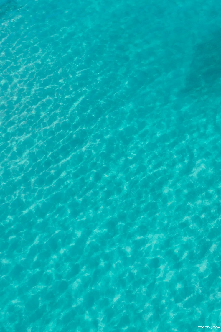 浊度仪