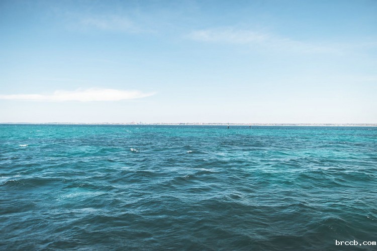 浊度计