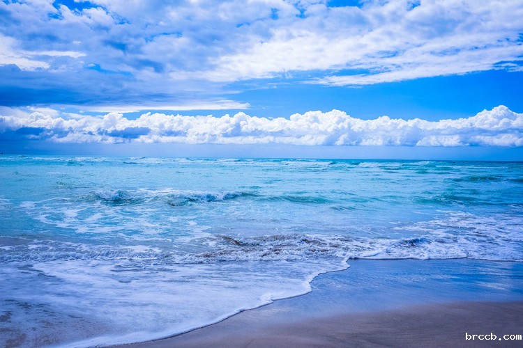 浊度仪