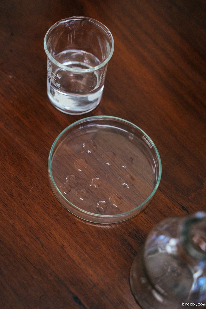 氨氮