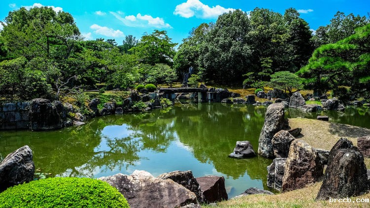 氨氮