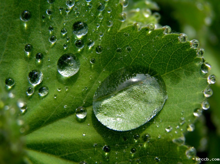 氨氮传感器