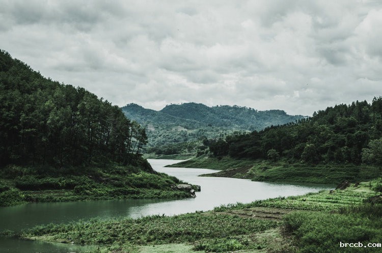 氨氮