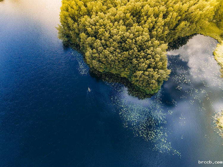 氨氮总氮