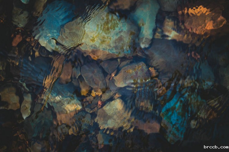氨氮