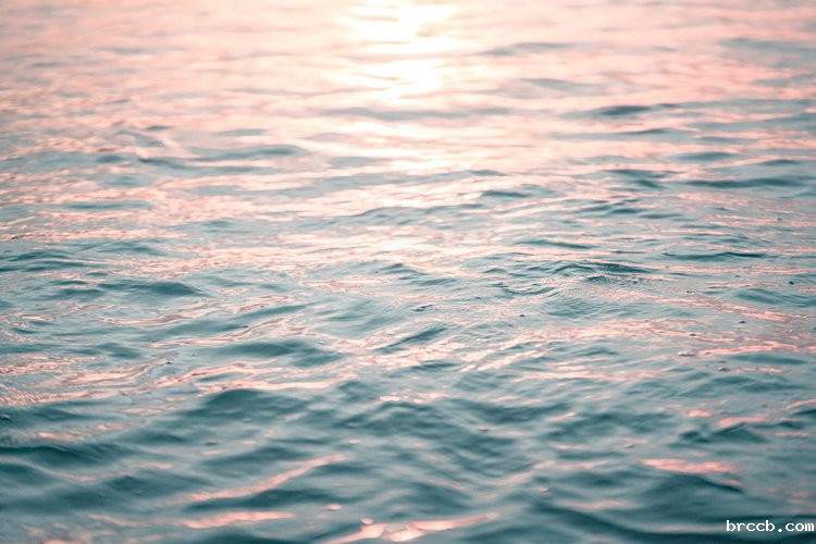 氨氮快速测定仪