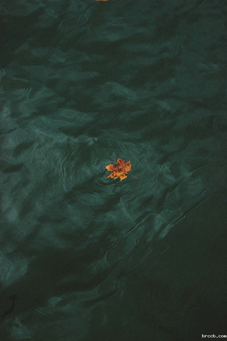 氨氮测定仪