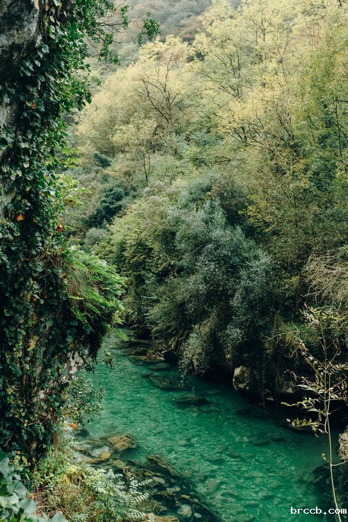 氨氮