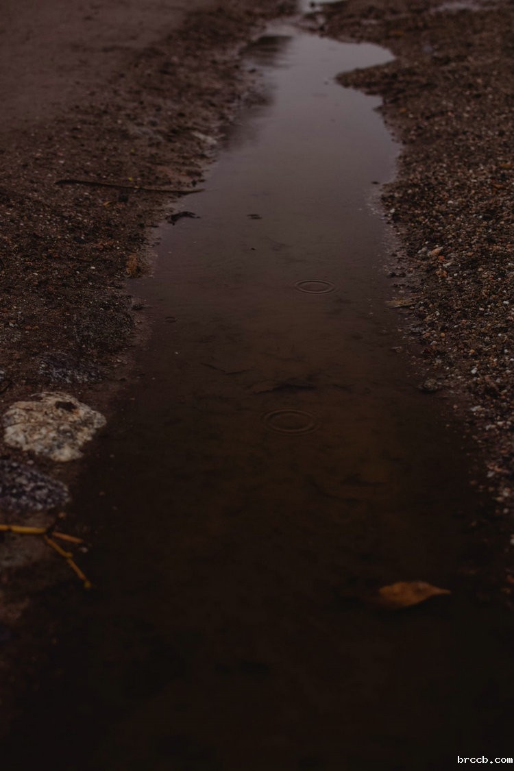 氨氮