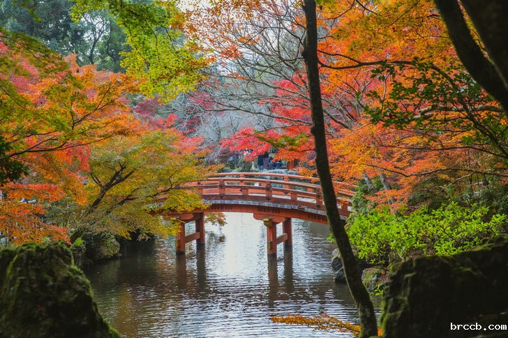 氨氮