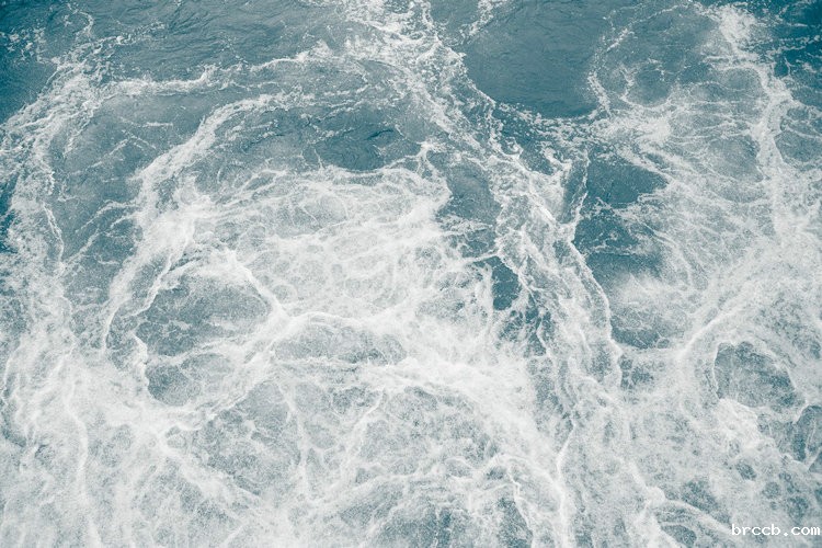 氨氮水质在线分析仪